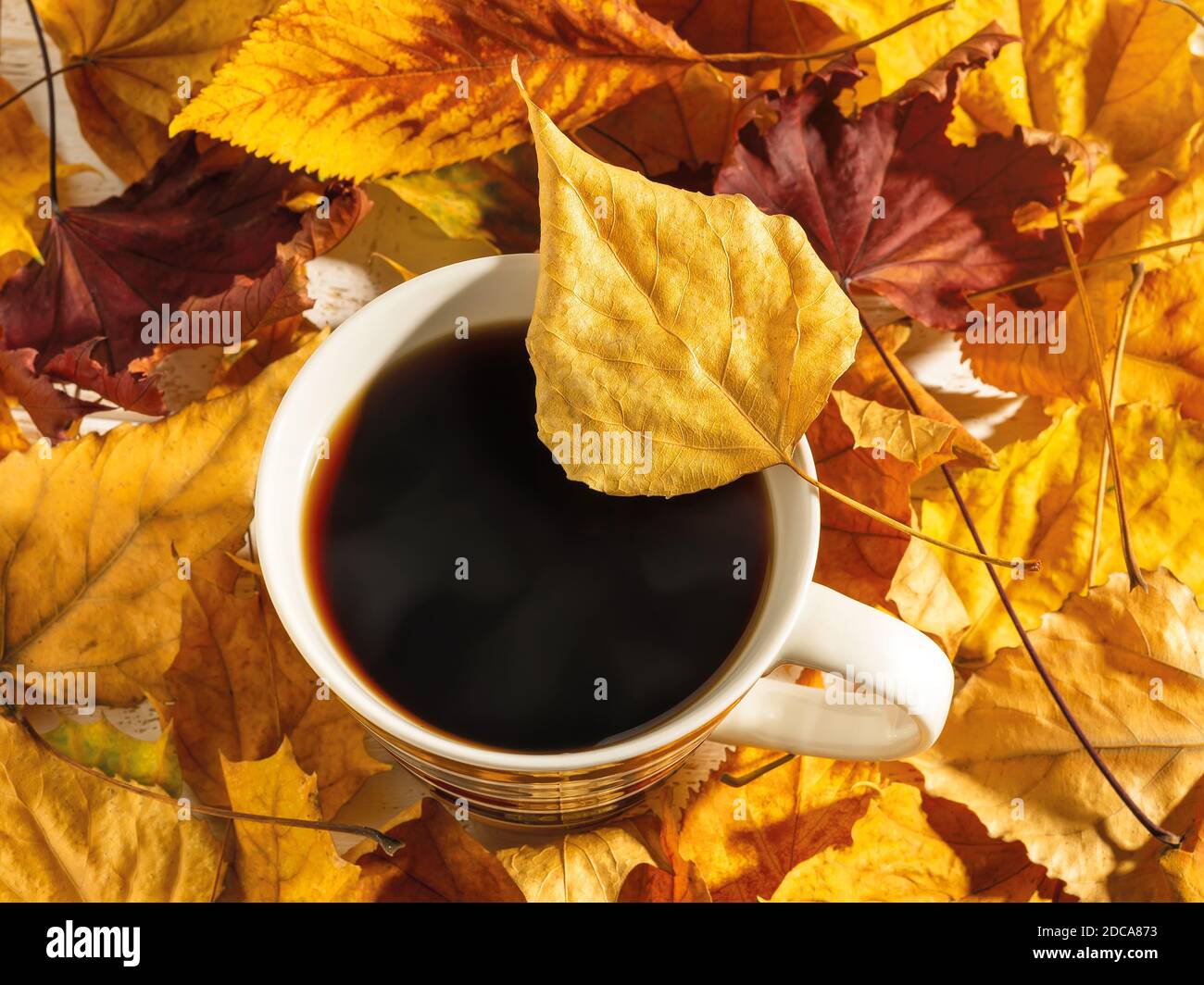 Feuille d'automne jaune vif sur le bord de la tasse avec café chaud à la vapeur. Tasse avec boisson chaude parmi les feuilles jaune vif et rouge au soleil. Banque D'Images