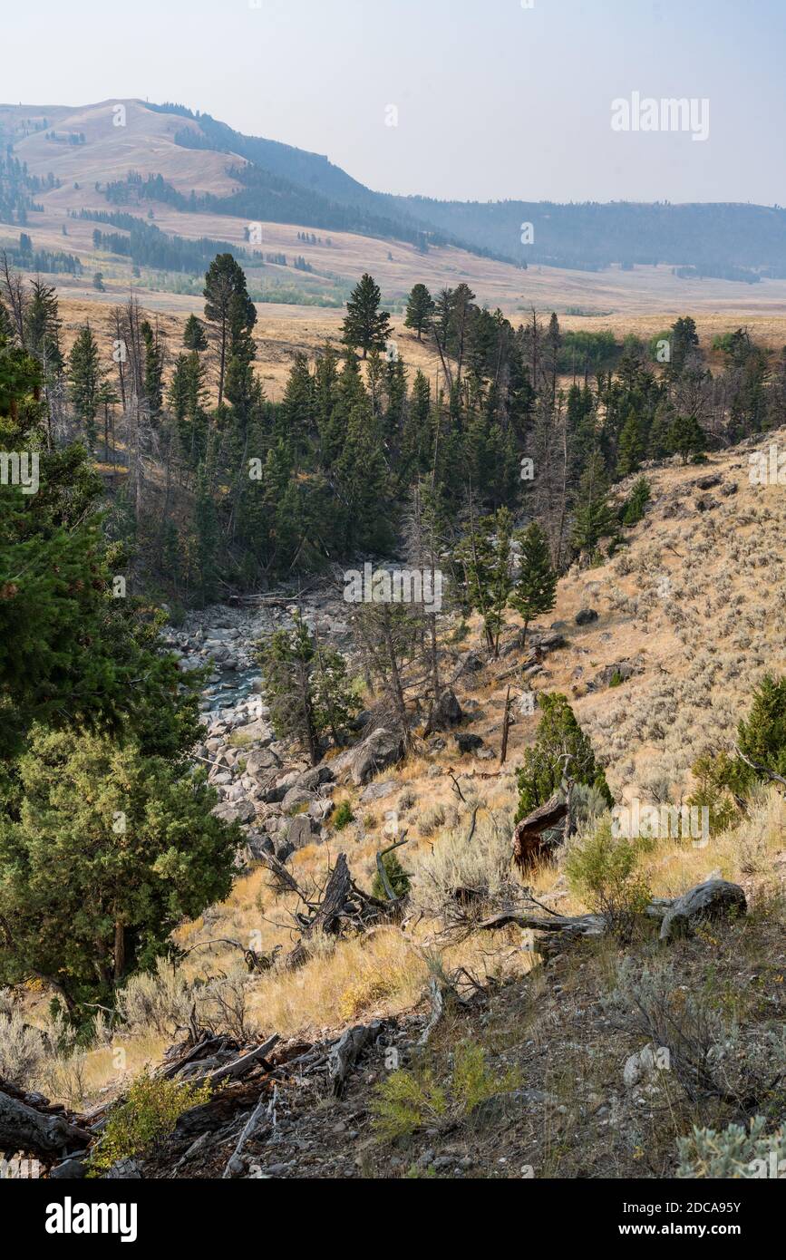 Le ruisseau soda Butte coule de son canyon dans la chaîne de montagnes d'Absaroka pour traverser la vallée de Lamar dans le parc national de Yellowstone dans le Wyoming, aux États-Unis. Banque D'Images