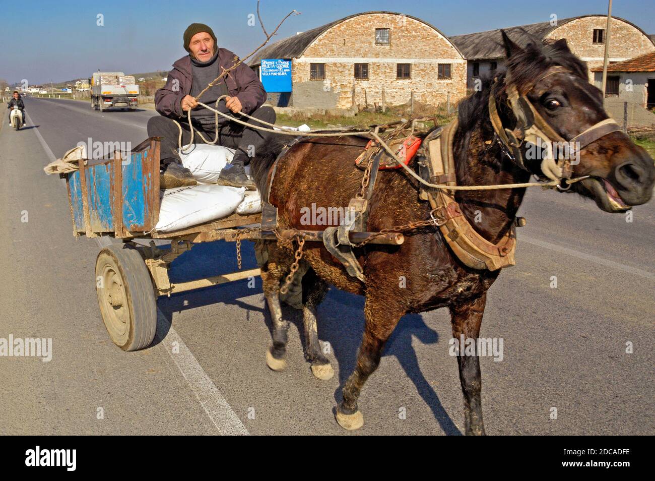 Cheval et calèche, Albanie rurale Banque D'Images