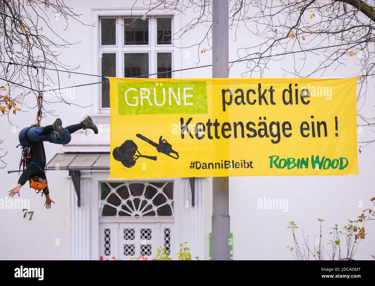 Wiesbaden, Allemagne. 20 novembre 2020. Un activiste vola a sauté sur le drapeau de Bündnis90/Die Grünen et une bannière de démonstration. Des militants de Robin Wood, organisme de protection de l'environnement et de la nature, ont occupé deux arbres devant le siège du parti des Verts de Hesse dans la capitale de l'État. L'organisation proteste contre les clearings dans le cadre de l'expansion de l'A49 et veut rappeler aux Verts de Hesse leur responsabilité politique. Credit: Andreas Arnold/dpa/Alay Live News Banque D'Images