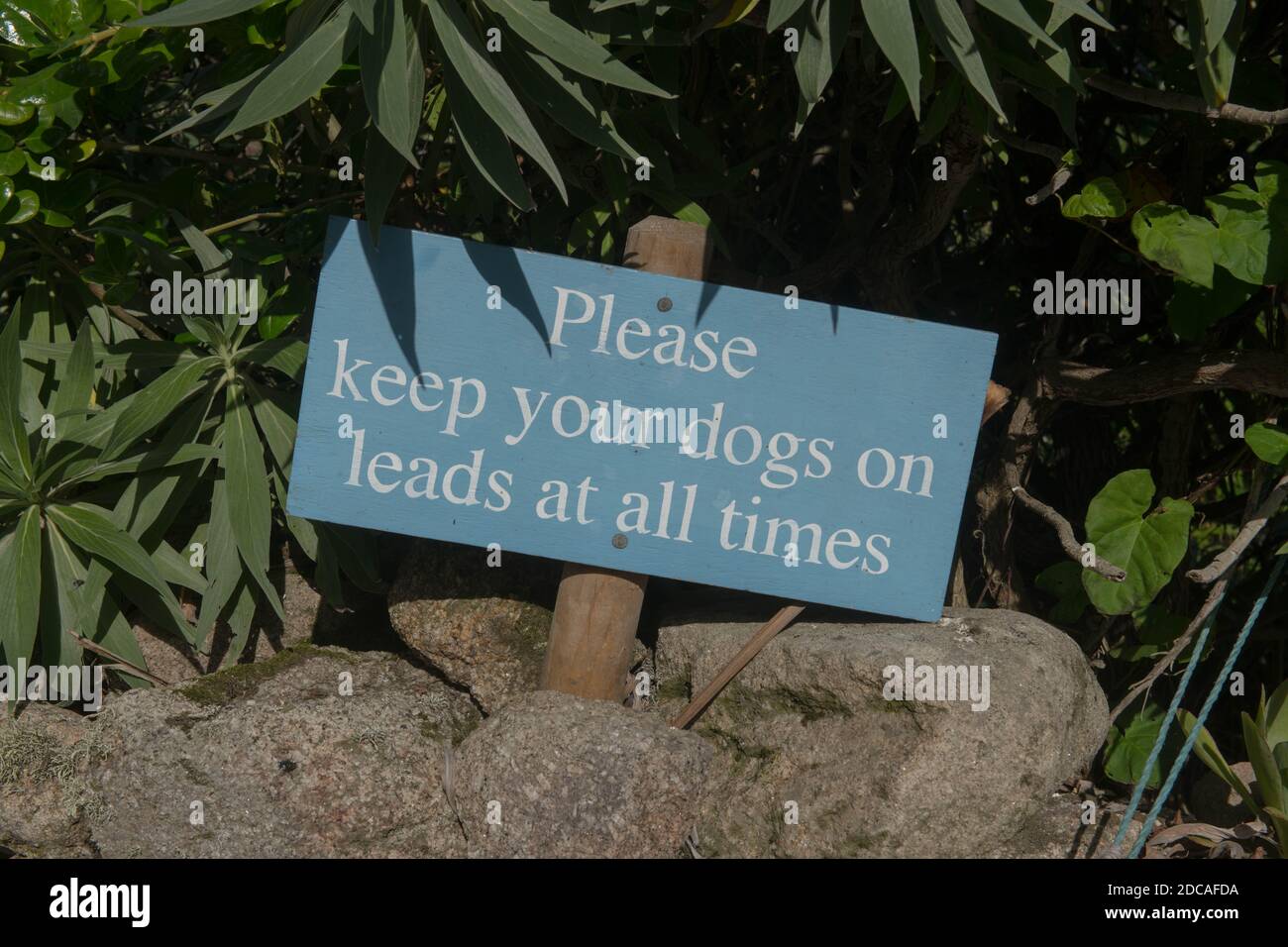 « Veuillez garder vos chiens en tête en tout temps », panneau sur l'île de Bryher, dans les îles de Scilly, en Angleterre, au Royaume-Uni Banque D'Images