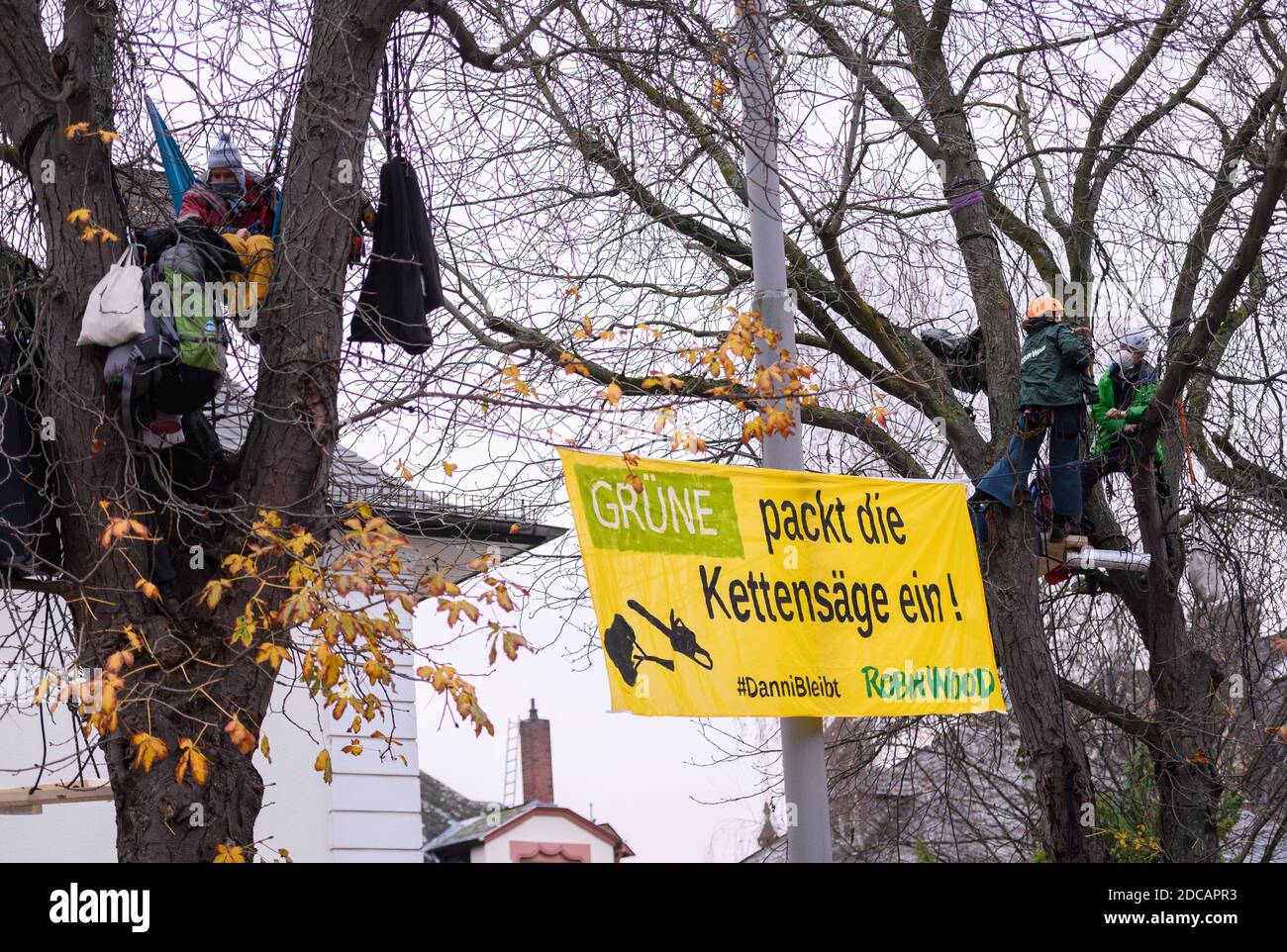 Wiesbaden, Allemagne. 20 novembre 2020. Les activistes s'arrêtent avec une bannière de démonstration « Green Pack the CHAINSAW! #Danni reste des arbres de Robin Wood. Les militants de Robin Wood, organisme de protection de l'environnement et de la nature, ont occupé deux arbres devant le siège du parti des Verts de Hesse dans la capitale de l'État. L'organisation proteste contre les clearings dans le cadre de l'expansion de l'A49 et veut rappeler aux Verts de Hesse leur responsabilité politique. Credit: Andreas Arnold/dpa/Alay Live News Banque D'Images