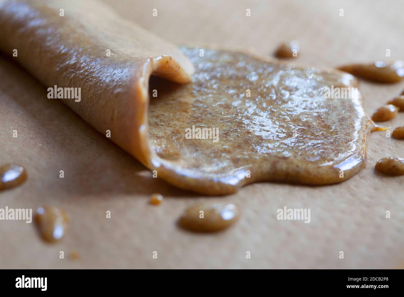 L'épinette de Norvège (Picea abies), le pitch liquide a été chauffé dans une casserole, que tamisé et solidifié sur du papier de boulangerie, en Allemagne Banque D'Images