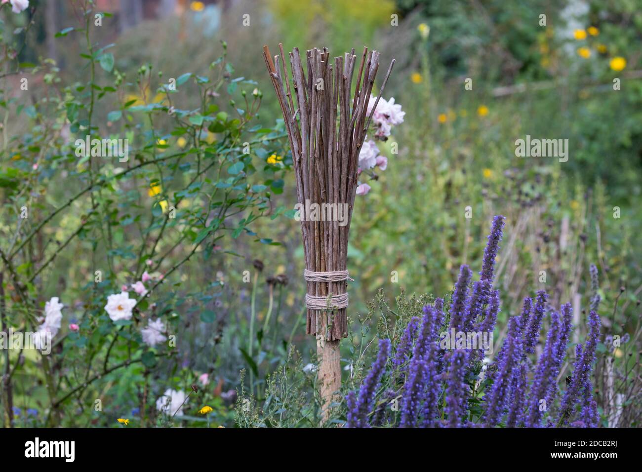 Aide à la nidification des abeilles sauvages maison de tiges pithy, Allemagne Banque D'Images