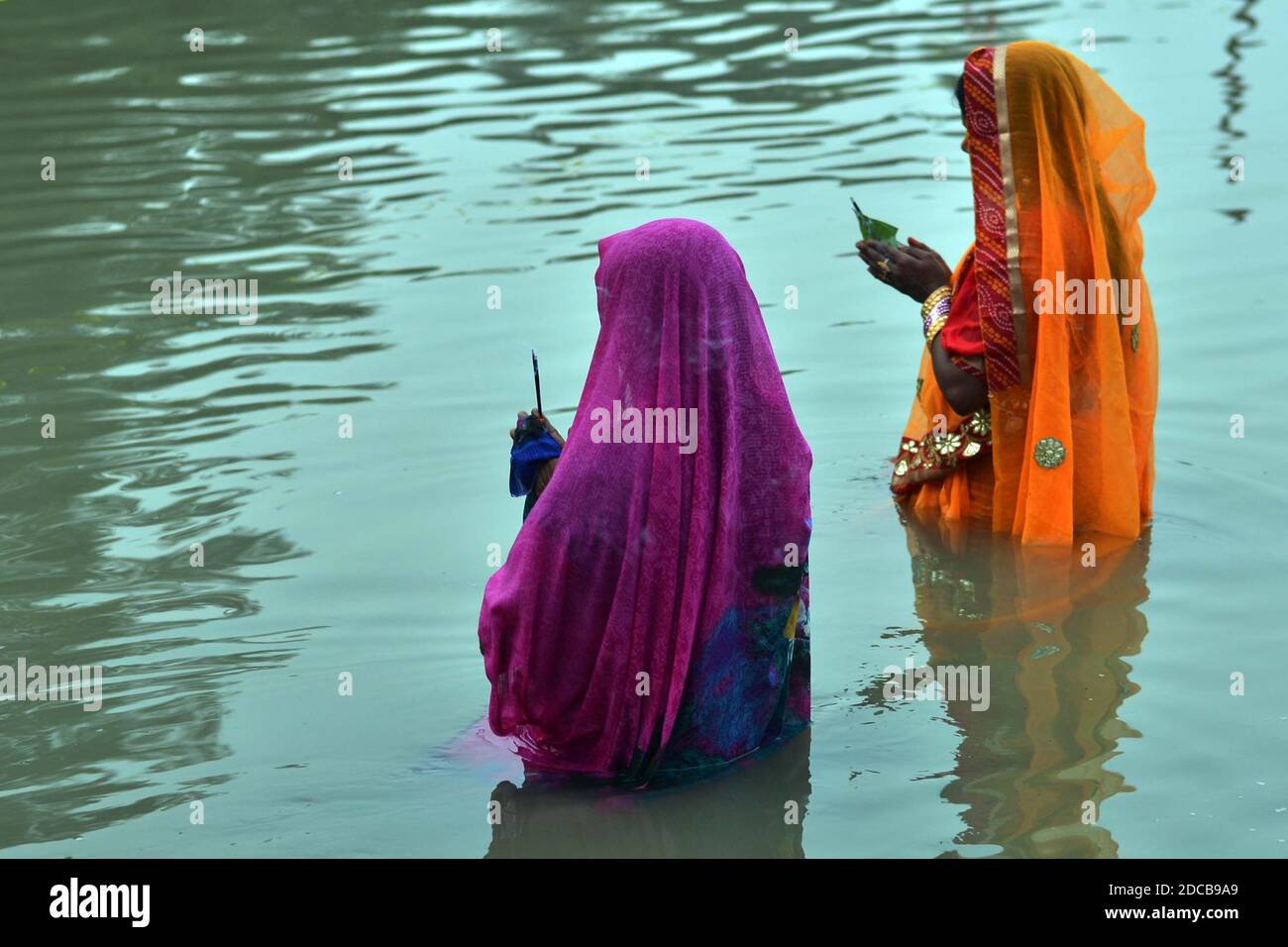 Inde du Nord. 20 novembre 2020. L'occasion propice de Chhath Puja 2020 est célébrée à travers la nation avec la ferveur pleine. Le festival est célébré majestueusement dans le nord de l'Inde. La journée est dédiée à Dieu Soleil (Surya Dev), où les dévotés offrent des prières au seigneur suprême, à son consort Usha et Pratusha (Chathi Maiya) respectivement. Crédit : DIGANTA TALUKDAR/Alamy Live News Banque D'Images