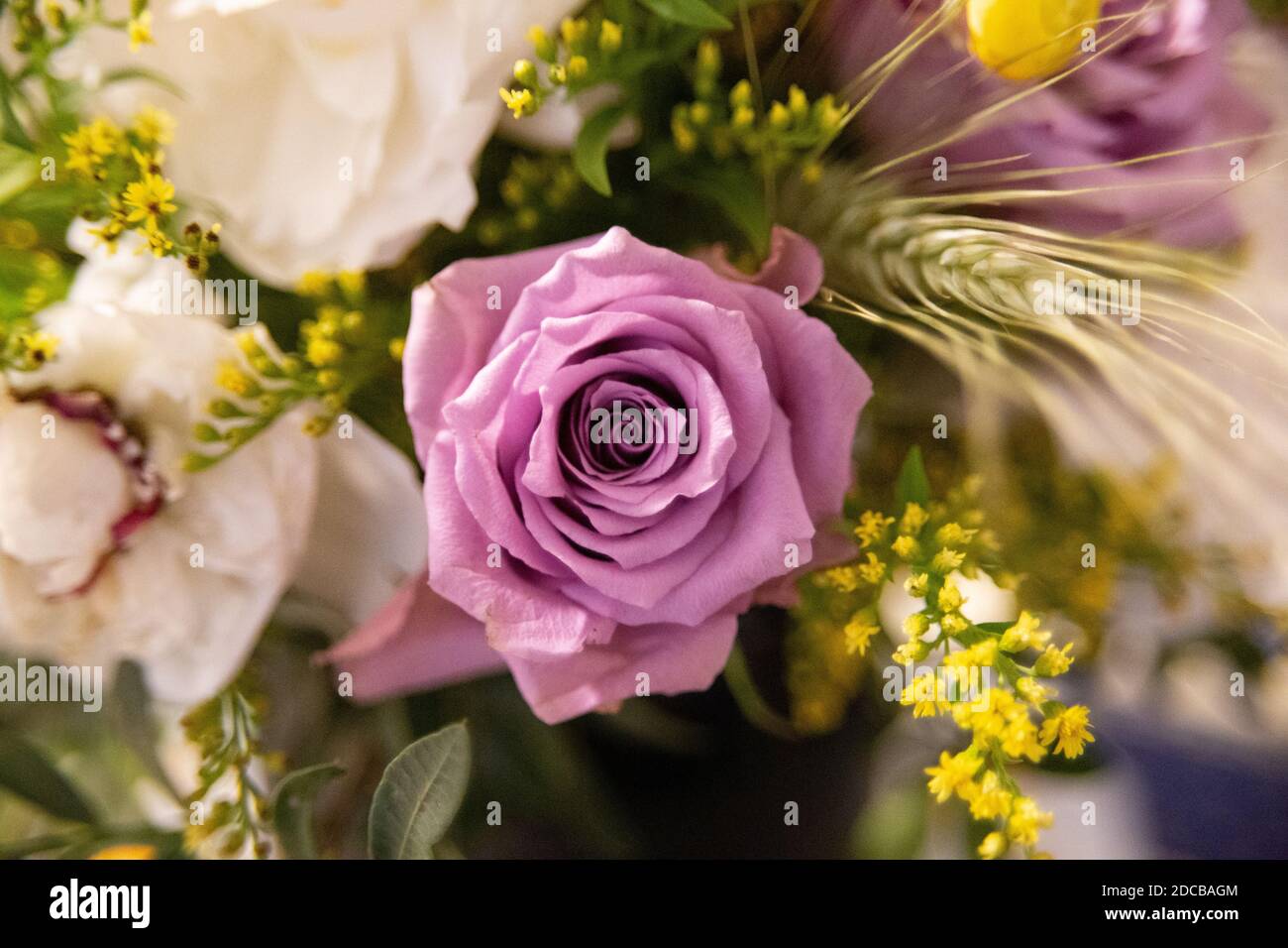Magnifique rose rose chic et romantique dans un bouquet Banque D'Images
