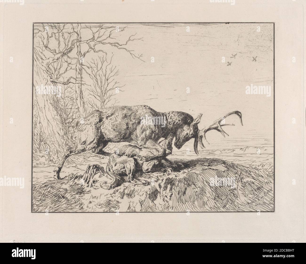Stag luttant contre un loup, d'après Antoine Louis Barye, 1846. Banque D'Images