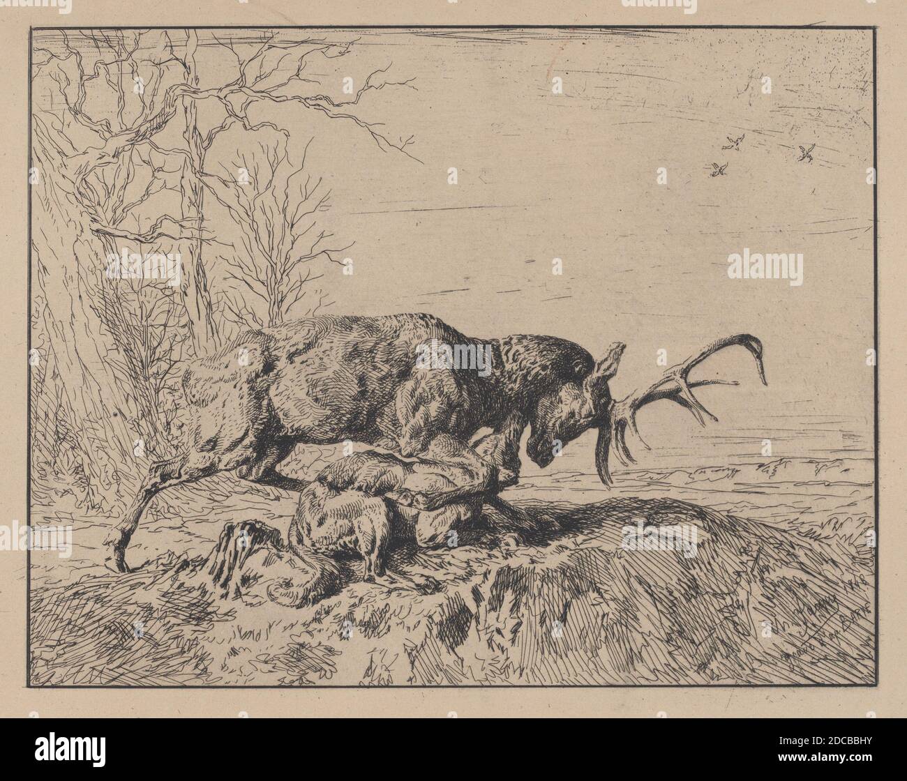 Stag luttant contre un loup, d'après Antoine Louis Barye, 1846. Banque D'Images