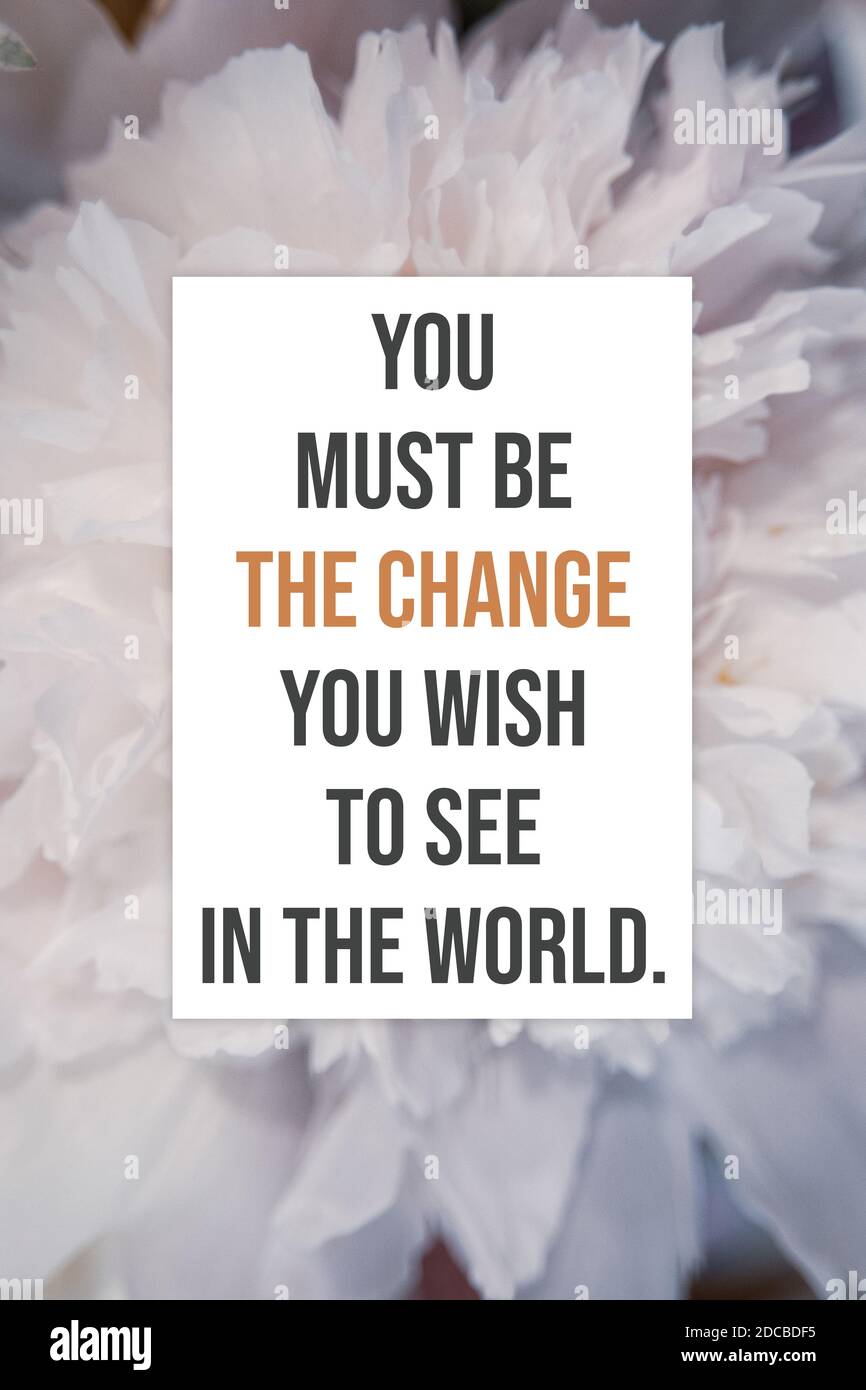Vous devez être le changement que vous souhaitez voir dans l'affiche de la citation mondiale motivationnelle Banque D'Images