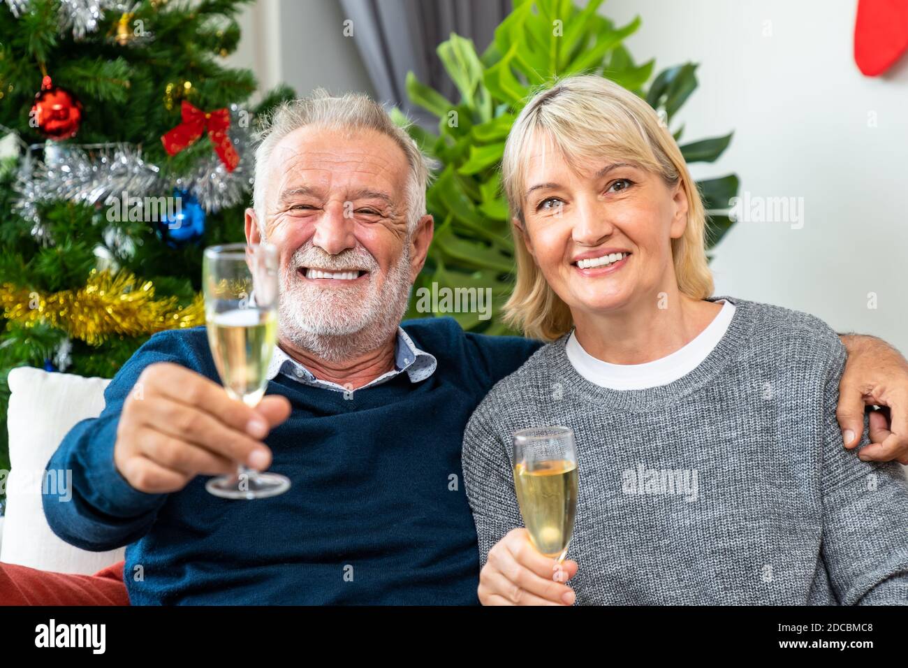 Couple senior homme et femme avec champagne et chat, assis sur un canapé avec arbre de Noël et décoration en arrière-plan Banque D'Images