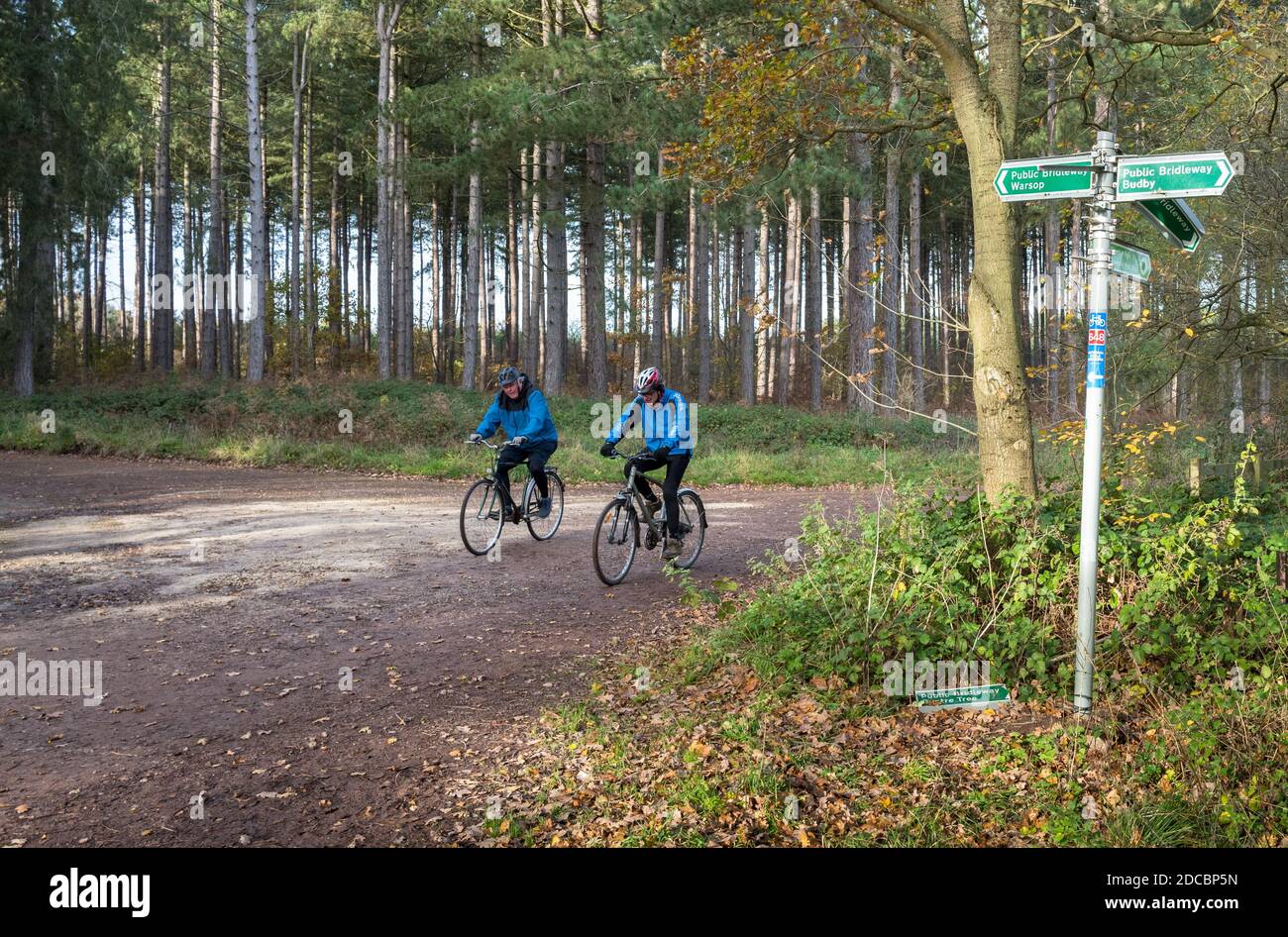 Deux hommes âgés faisant du vélo le long d'une piste boisée dans la forêt de Sherwood, dans le tinghamshire. Banque D'Images