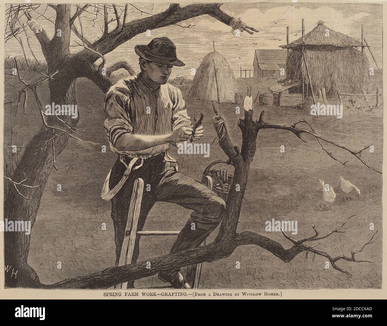 American 19e Century, (artiste), Winslow Homer, (artiste après), American, 1836 - 1910, Spring Farm Work - greffage, de 'Harper's Weekly', 30 avril 1870, p.276, (série), publié en 1870, gravure en bois Banque D'Images