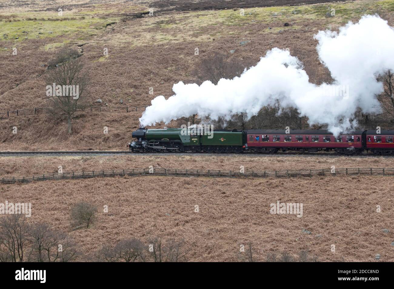 Le moteur à vapeur Flying Scotsman LNER classe A3 n° 60103 Après la restauration tire un train de Goathland à Levisham on Le North York Moors Railway Banque D'Images