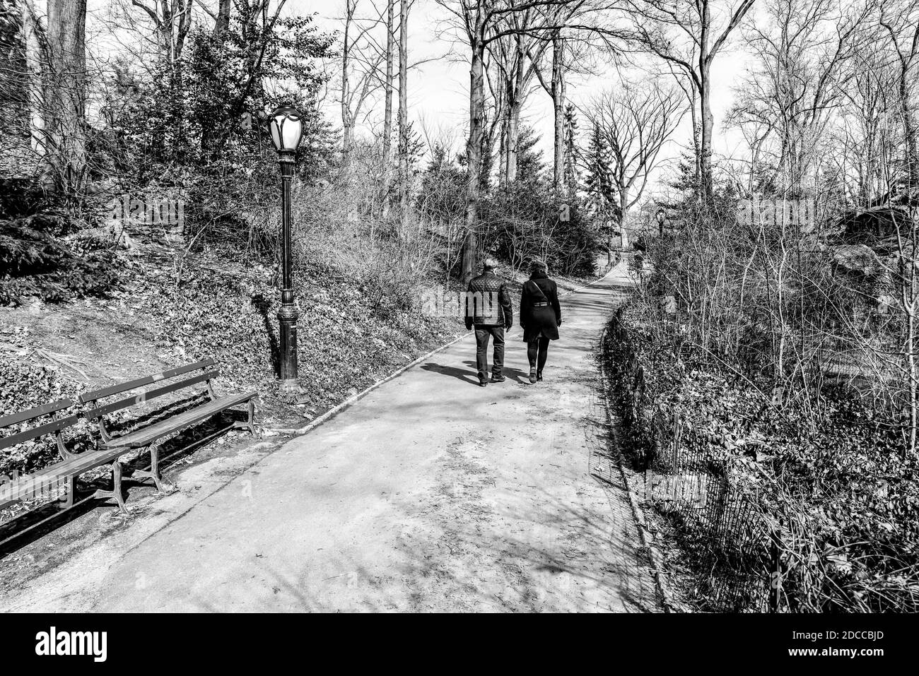 sentier de randonnée dans le grand parc de la ville Banque D'Images