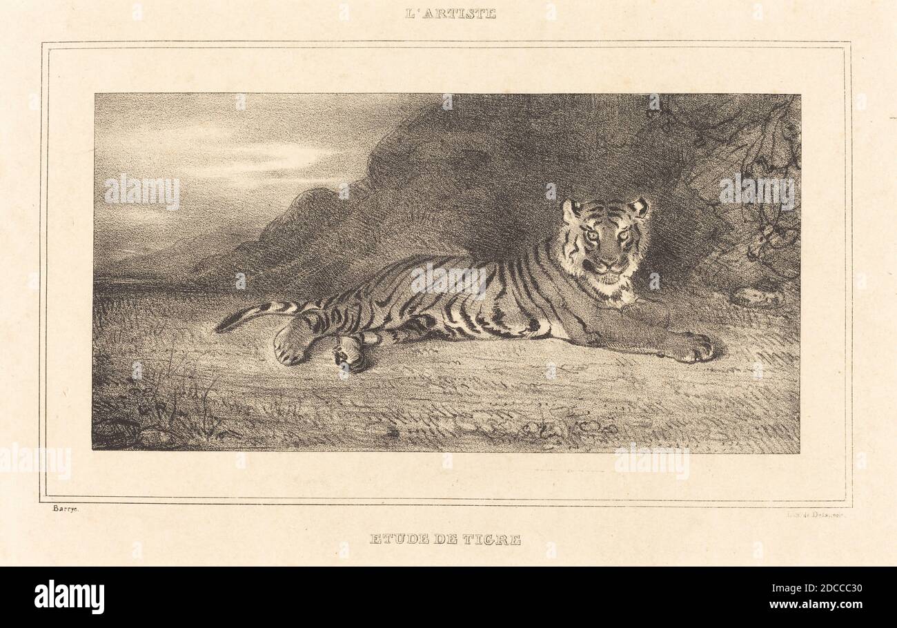 Antoine-Louis Barye, (artiste), français, 1795 - 1875, Etude d'un tigre Banque D'Images