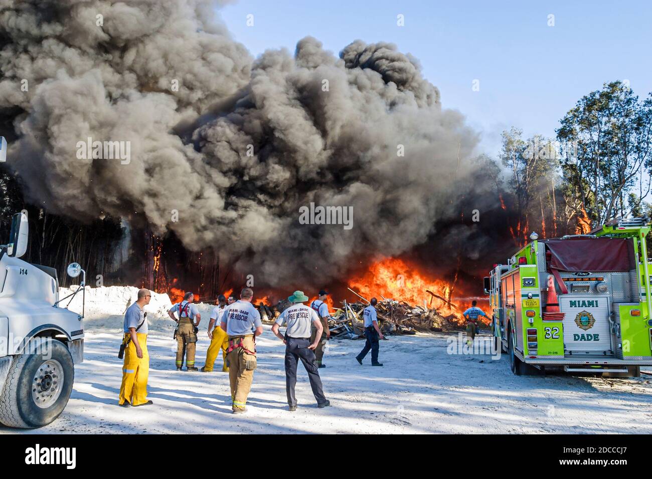Miami Florida, Pennsuco West Okeechobee Road, arbres endommagés par un incendie combustion contrôlée par la cendre, pompiers pompiers pompiers pompiers pompiers Everglades fumée de bordure, Banque D'Images