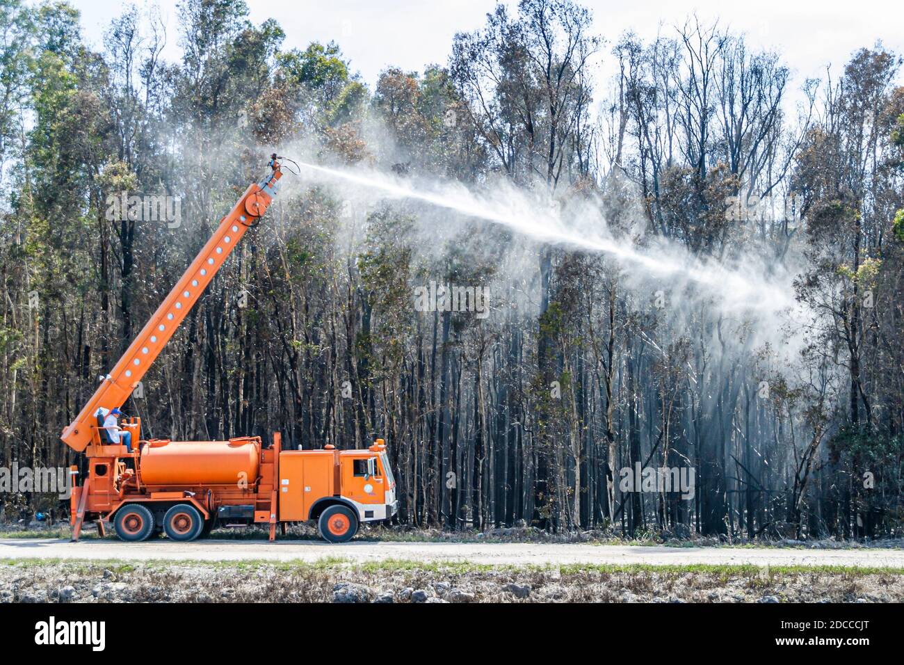 Miami Florida, Pennsuco West Okeechobee Road, arbres endommagés par un incendie combustion contrôlée par la cendre, pompiers pompiers pompiers pompiers Everglades bord réservoir d'eau camion pulvérisation Banque D'Images