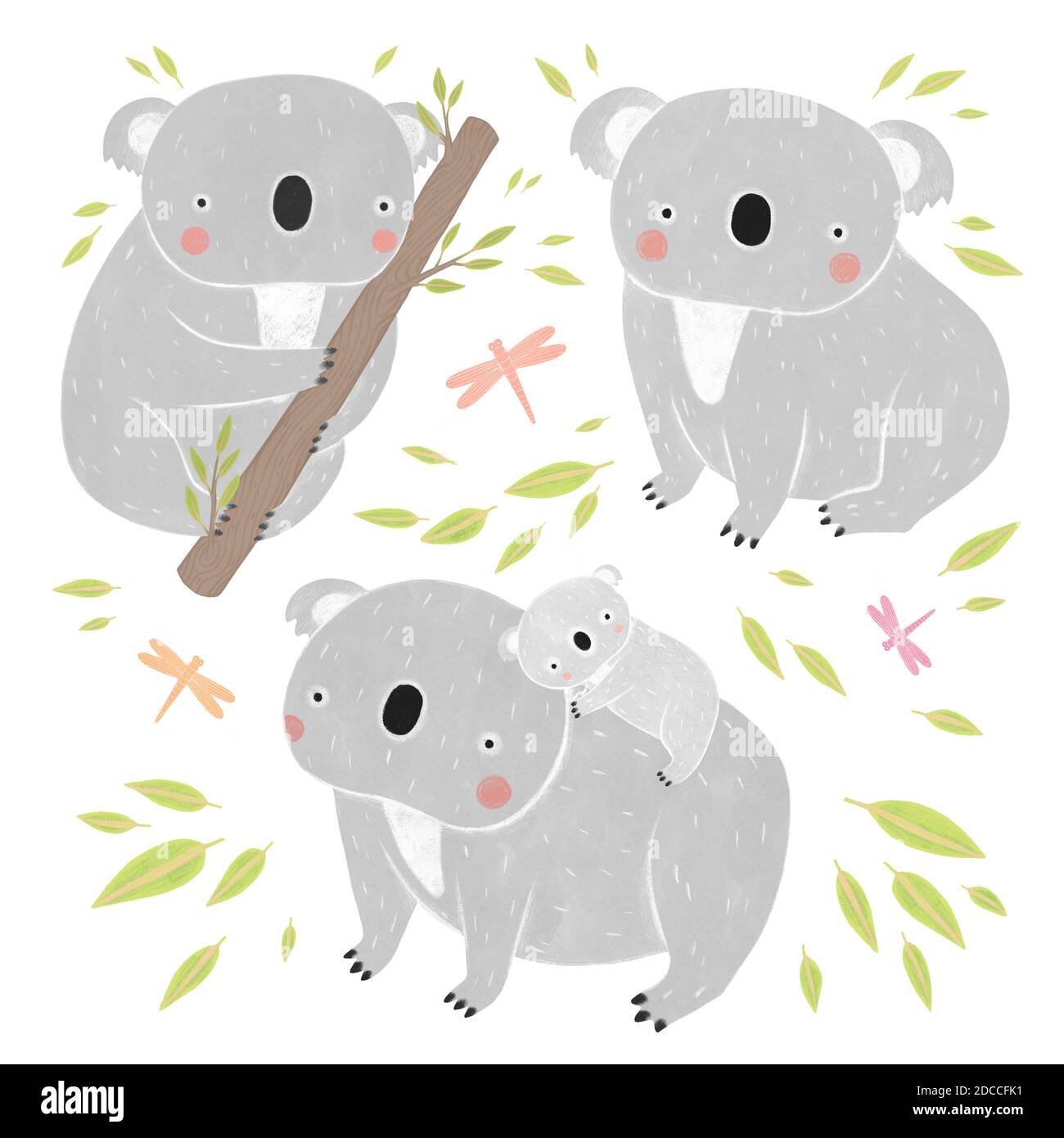 Ensemble d'ours koala mignons. Koalas, libellules et feuilles sur fond blanc. Banque D'Images