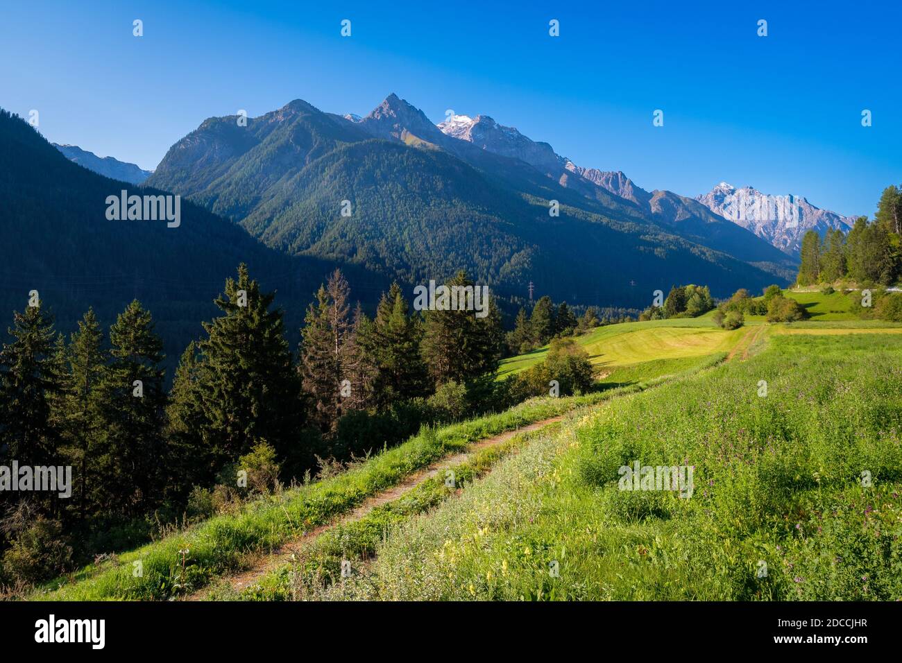 Alpes de Silvretta entourant le village de Ramisch (Val Sinestra, Grisons, Suisse). Il se trouve dans la vallée inférieure d'Engadin, le long de la rivière Inn Banque D'Images