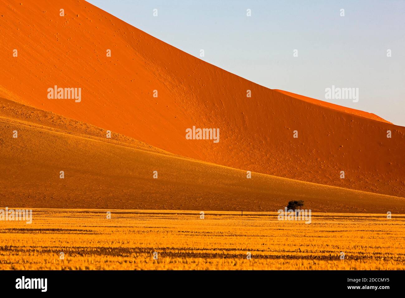 Le Namib-NAUKLUFT PARK, Désert du Namib, NAMIBIE DUNES DANS SOSSULSVLEI Banque D'Images