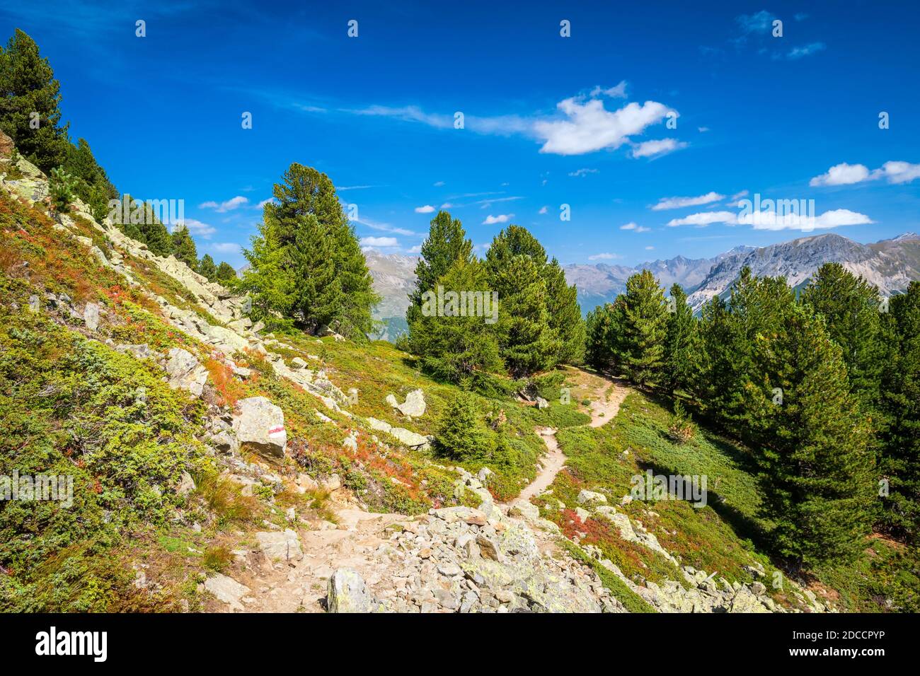 Le sentier de randonnée de Haideralm (Au-dessus de Sankt Valentin auf der Haide) à Schöneben (au-dessus de Resia) Offre une vue magnifique sur Val Venosta (Alto Adige, Italie) Banque D'Images
