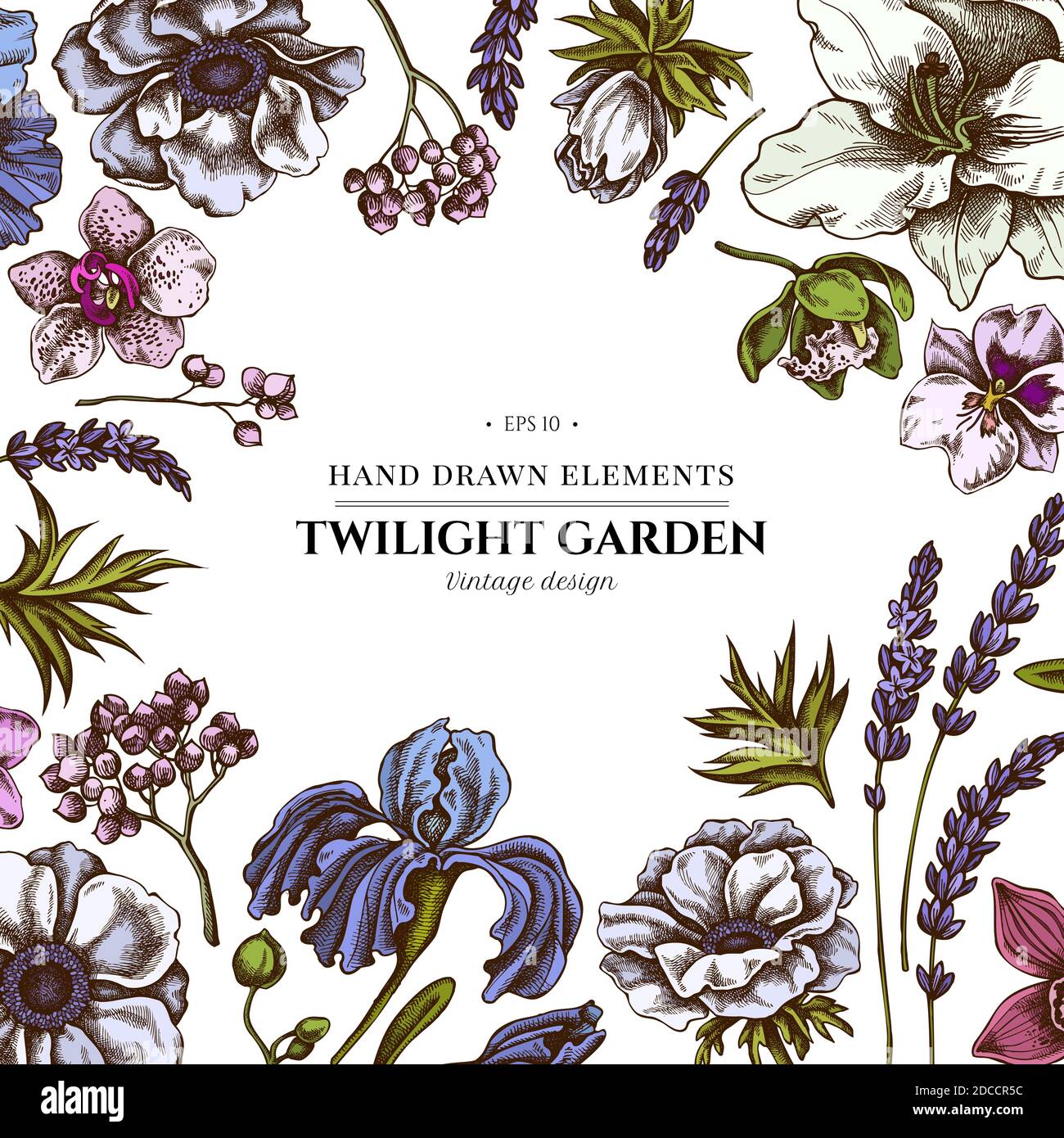 Motif floral avec anémone coloré, lavande, romarin éternel, phalaenopsis, lis, iris Illustration de Vecteur