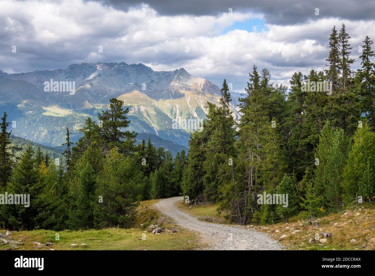 Un des nombreux beaux chemins de la promenade de Bergkastel (2,200m, Tyrol, Autriche) à la tourbière surélevée Plamort (Tyrol du Sud, Italie) Banque D'Images