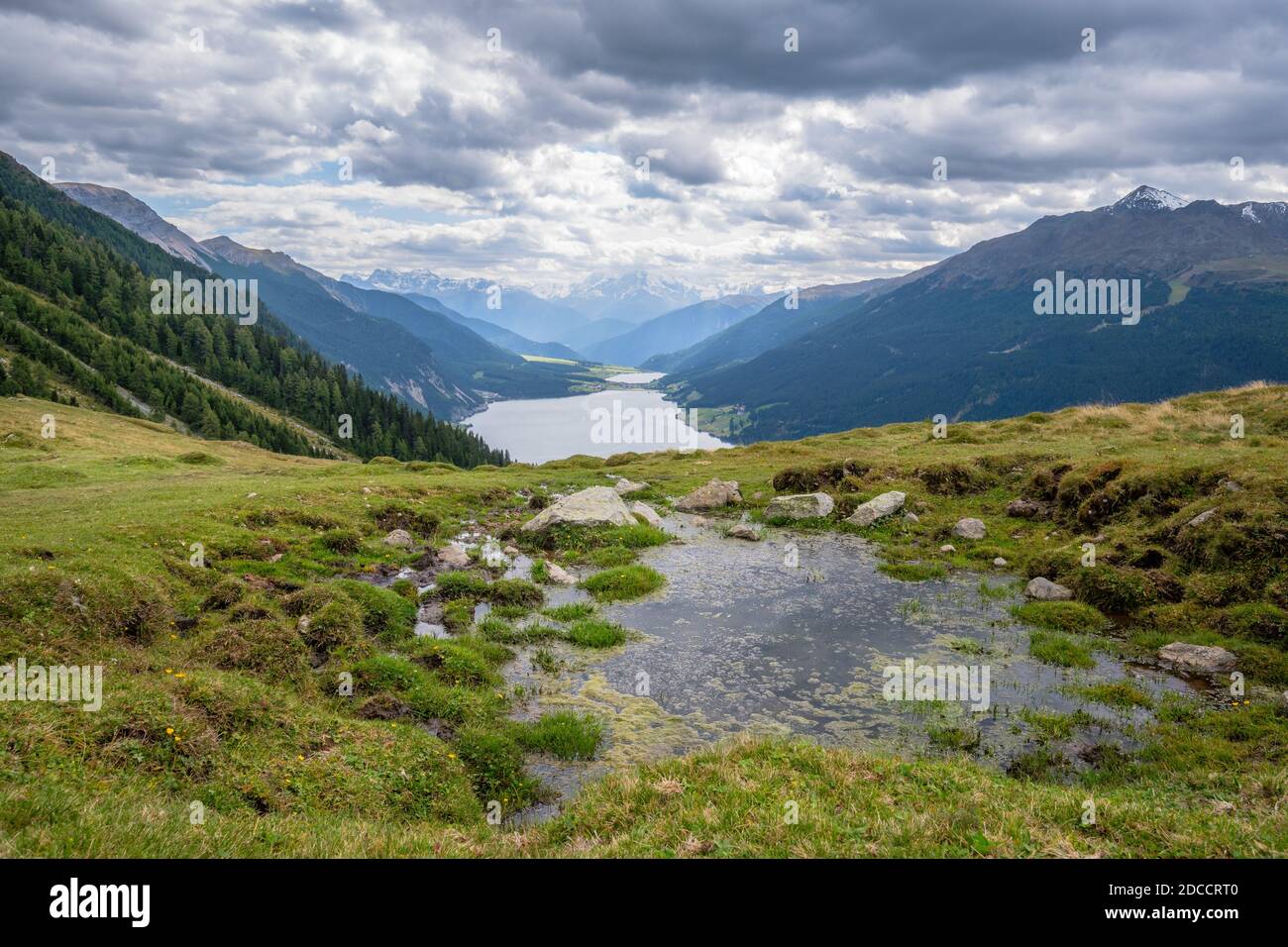Le sentier de randonnée de Bergkastel (Tyrol, Autriche) à la tourbière en relief (allemand: Hochmoor) Plamort offre une vue magnifique sur le lac Resia et Haidersee Banque D'Images