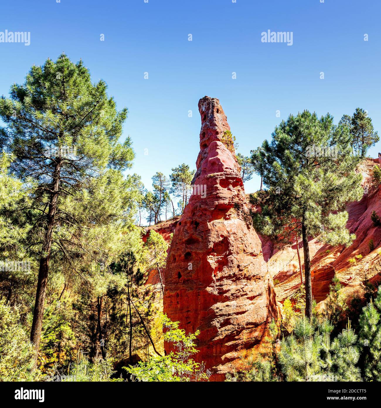 Les falaises rouges de Roussillon (Les Ocres), Provence, France Banque D'Images