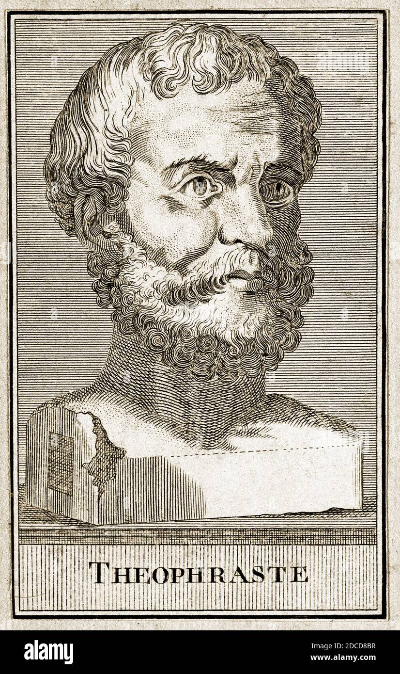 Théophrastus, botaniste et philosophe grec ancien Banque D'Images