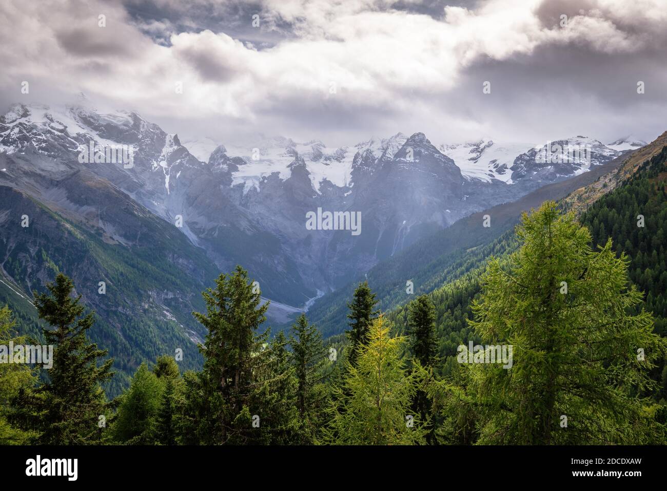 Dans la vallée Val venosta (allemand: Vinschgau) dans la région Alto Adige (allemand: Südtirol) il ya des montagnes magnifiques comme le groupe Ortler Banque D'Images