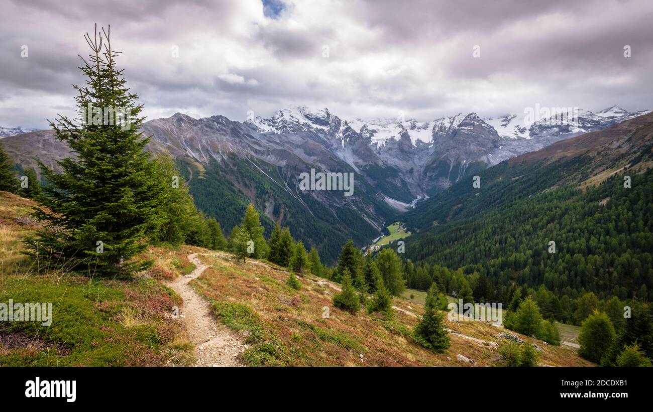 Dans la vallée Val venosta (allemand: Vinschgau) dans la région Alto Adige (allemand: Südtirol) il ya des montagnes magnifiques comme le groupe Ortler Banque D'Images