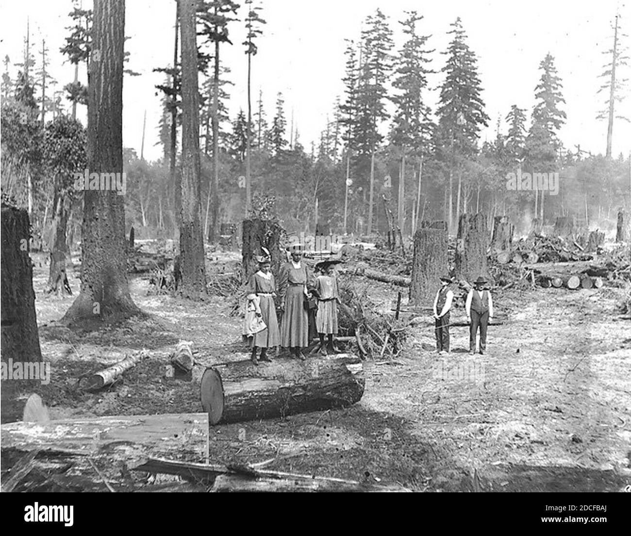 Les enfants de Kiehl se tenant sur un arbre abattu dans une section de terrain dégagé à fort Lawton, Washington, 1907 (KIEHL, 121). Banque D'Images