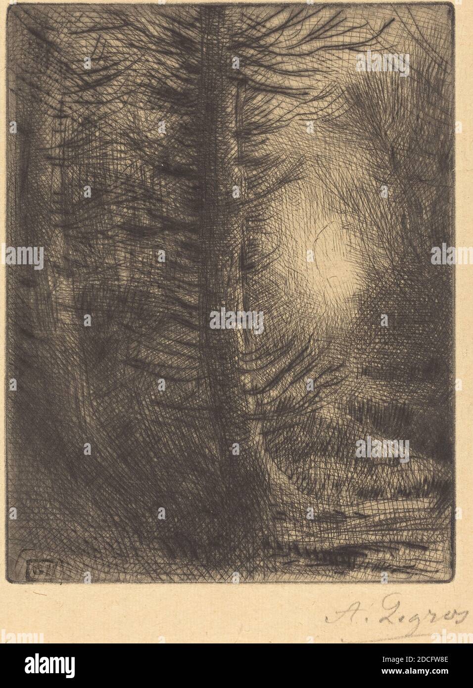 Alphonse Legros, (artiste), français, 1837 - 1911, Bois au soleil d'hiver, 1ère plaque (Soleil d'hiver dans les bois), pointe sèche et gravure Banque D'Images