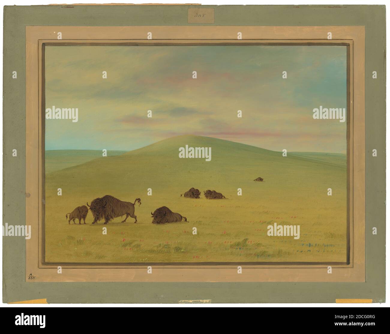 George Catlin, (artiste), américain, 1796 - 1872, Asturies américaines - Prairies du plateau, 1861/1869, huile sur carte montée sur carton, total: 47 x 62.5 cm (18 1/2 x 24 5/8 po Banque D'Images