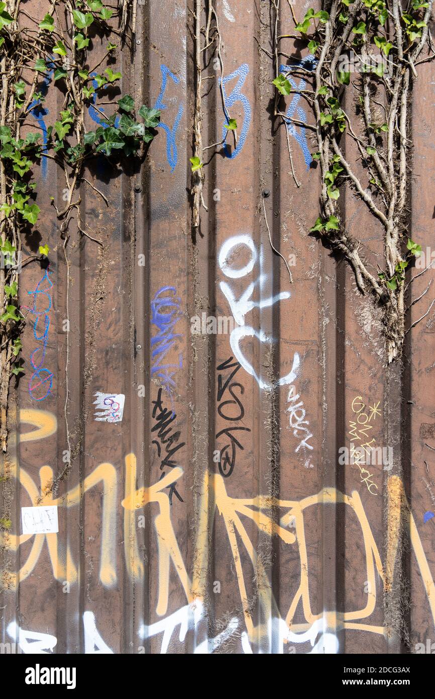végétation et graffiti sur une clôture en fer ondulé Banque D'Images