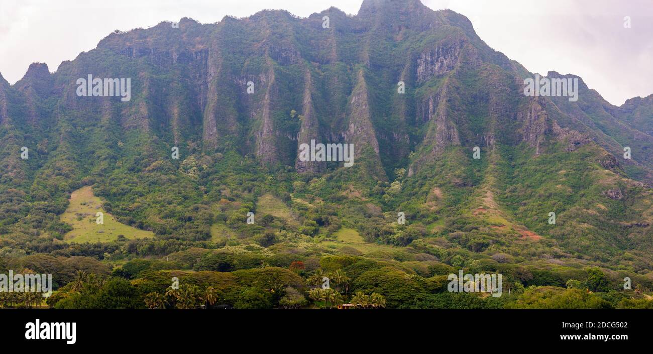 Pic de montagne dentelé, Oahu, Hawaï. La chaîne de montagnes de Koolau s'étend sur toute la partie est de l'île. Banque D'Images