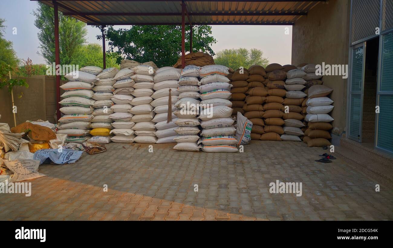 Novembre 2020- Mahroli, Jaipur, Inde / tas de sac de grain blanc, tenue dans le marché de grain. Centre de commerce des grains de l'État pour l'importation et l'exportation des grains. Banque D'Images