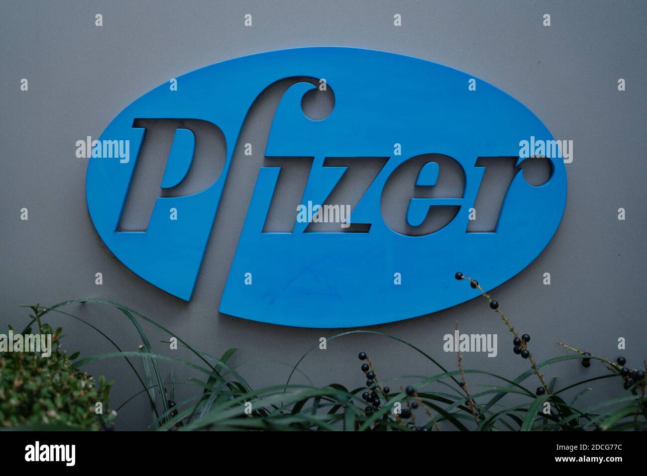 Séoul, Corée du Sud. 21 novembre 2020. La société pharmaceutique multinationale américaine, Pfizer Inc., a vu son logo à l'extérieur de sa succursale de Séoul.le fabricant de médicaments Pfizer a déclaré qu'il avait soumis une demande à la Food and Drug Administration pour autoriser son vaccin coronavirus à des fins d'urgence, Mettre en branle un processus réglementaire accéléré qui pourrait permettre aux premiers Américains de se faire vacciner d'ici la mi-décembre. Crédit : SOPA Images Limited/Alamy Live News Banque D'Images