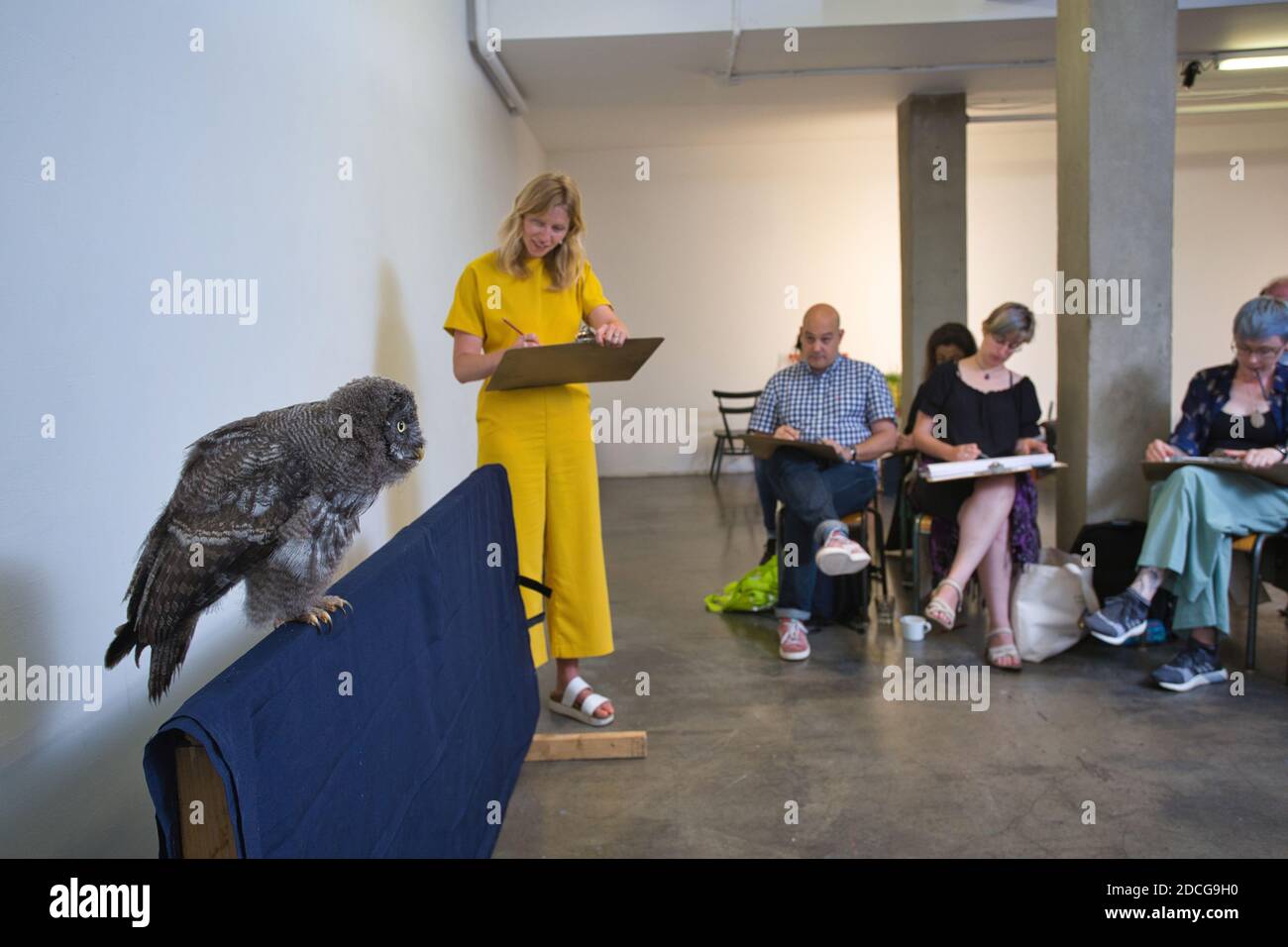 Personnes assistant à un cours d'art de dessin de la vie en soirée, dirigé par Jennie Webber, dessin d'aigles-hiboux du Bengale et d'autres animaux sauvages, Londres, Royaume-Uni Banque D'Images