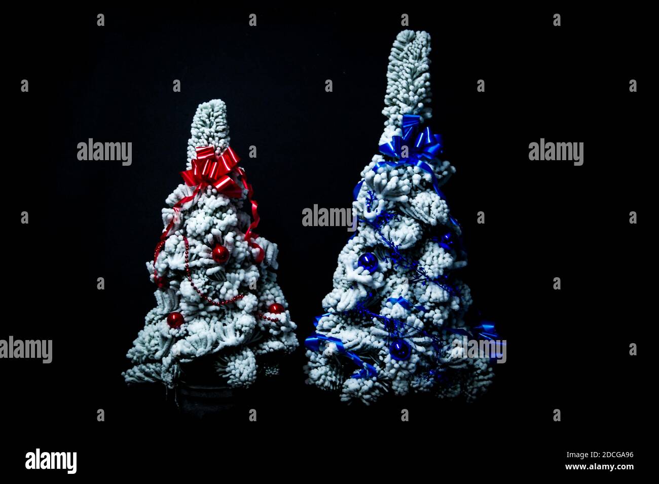 Arbres de Noël enneigés décorés isolés sur fond noir Banque D'Images