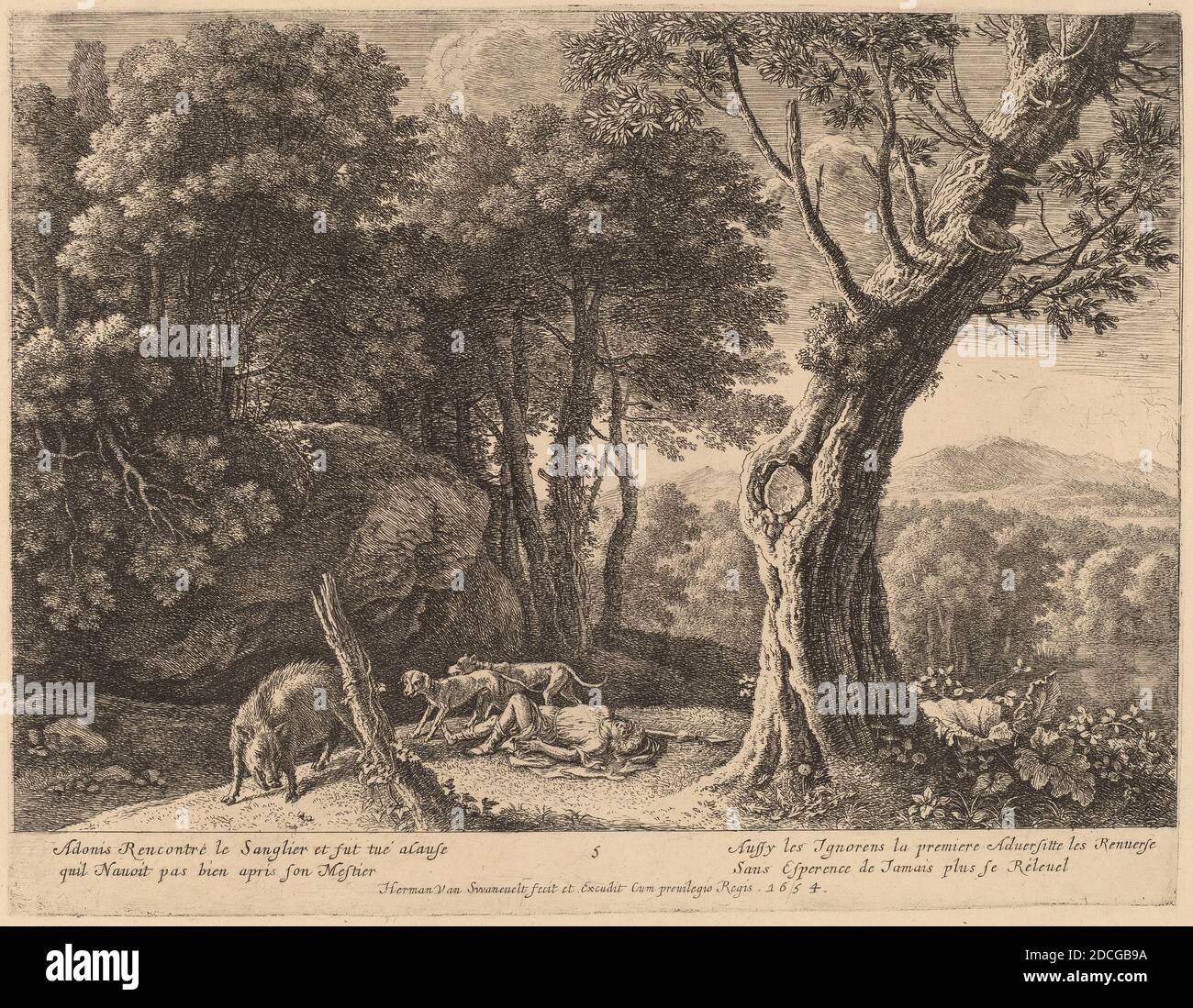 Herman van Swanevelt, (artiste), Néerlandais, c. 1600 - 1655, mort d'Adonis, l'histoire d'Adonis, (série), gravure Banque D'Images