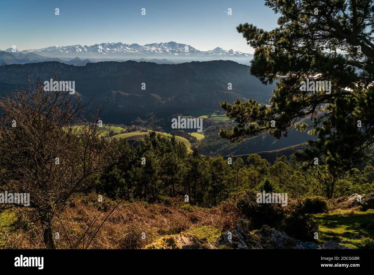 Une partie des Picos de Europa dans la province d'Espagne des Asturies. Banque D'Images