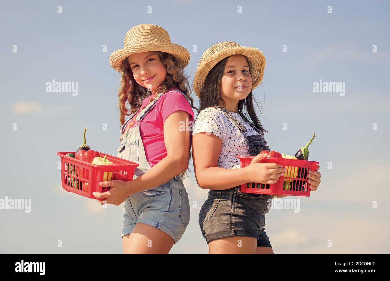 Bienvenue dans notre monde. La nourriture saine est une vie heureuse. Les filles légumes dans le panier. Uniquement naturel. Enfants à la ferme d'été. Alimentation biologique. Agriculture des enfants. Récolte d'automne. Récolte de vitamine. Jardin du marché de printemps. Banque D'Images