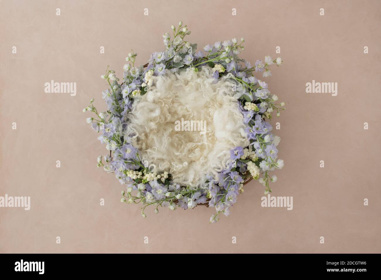 Magnifique arrière-plan numérique nouveau-né avec fleurs. Composite pour la photographie de bébé. Banque D'Images