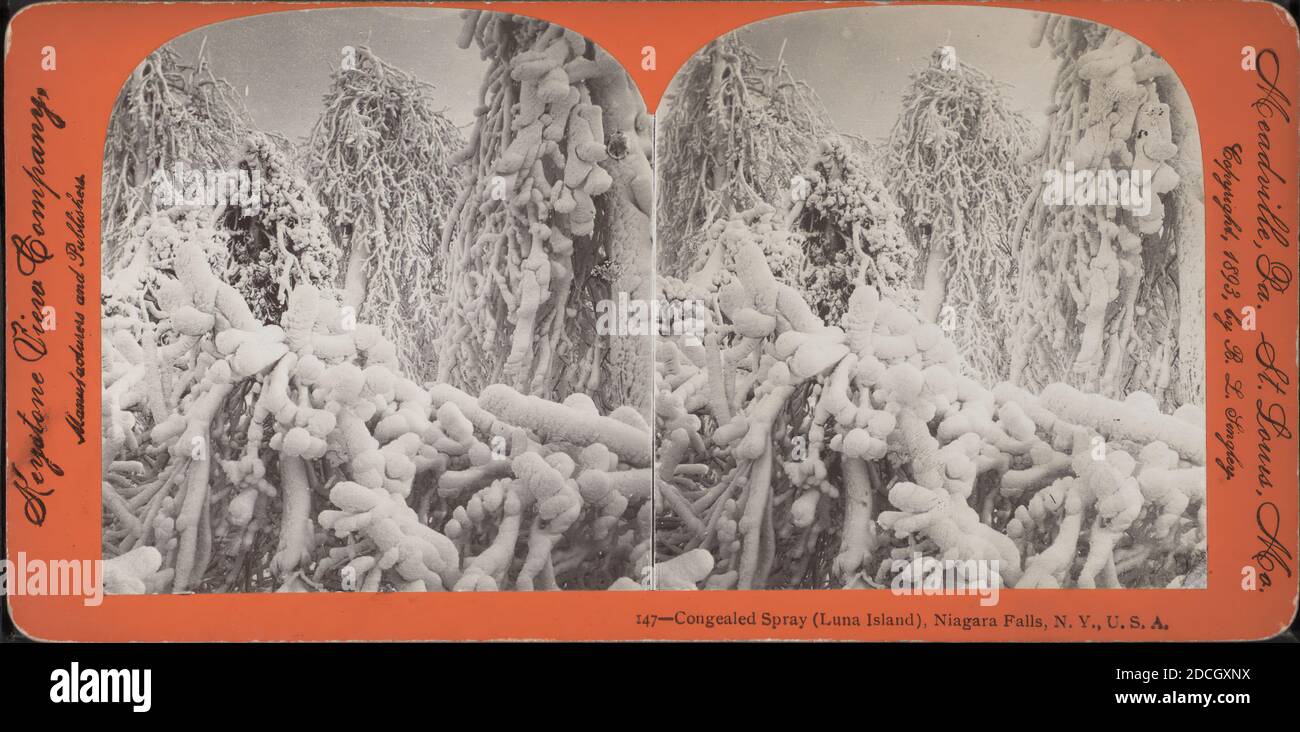 Aérosol concentré (Luna Island), Niagara Falls, N.Y., États-Unis membres d'arbres couverts de glace., Keystone View Company, Singley, B. L. (Benjamin Lloyd), 1893, New York (État), Niagara Falls (N.Y. et ont Banque D'Images