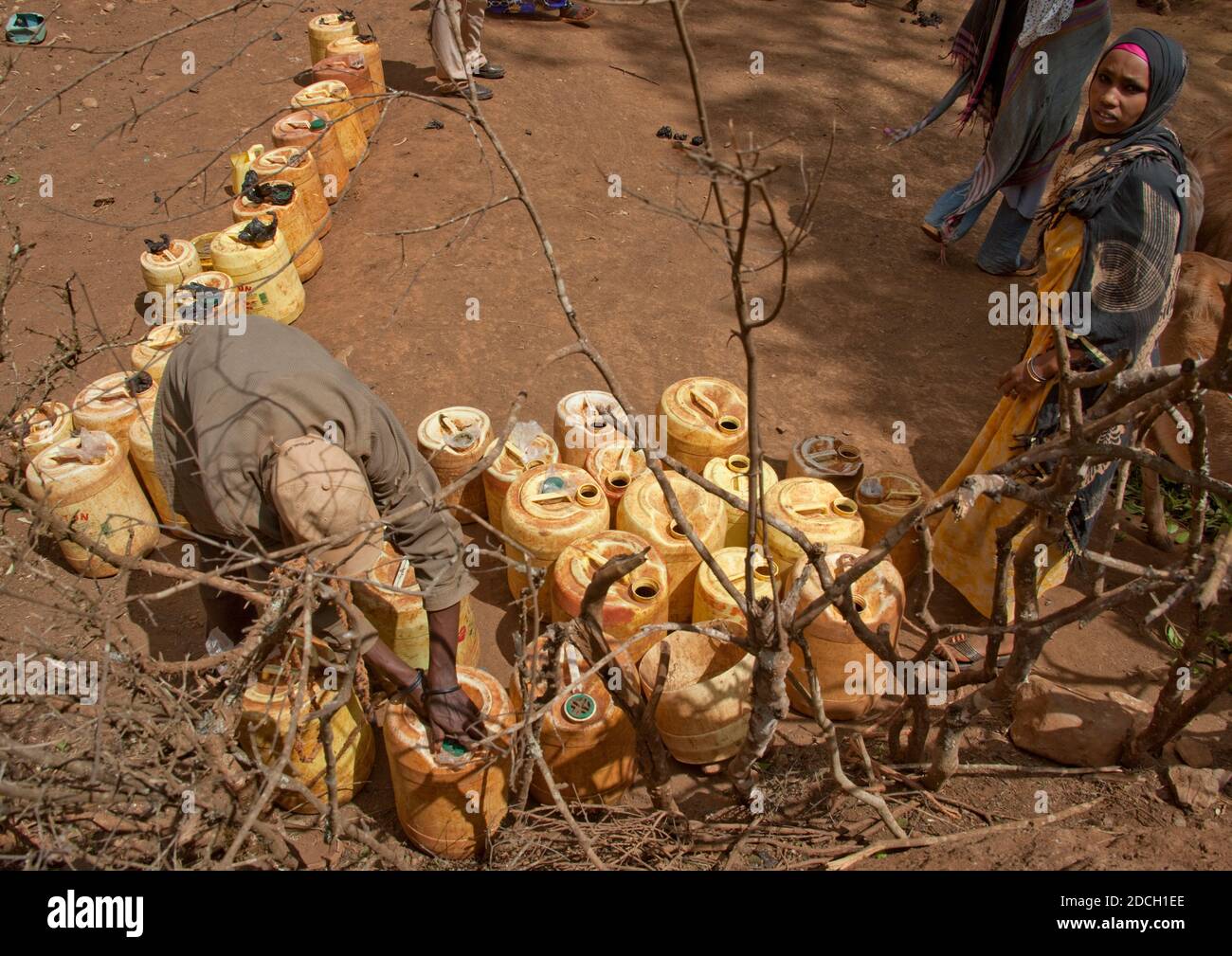 Les gens de la tribu Borana collectent de l'eau dans les jerricans, comté de Marsabit, Marsabit, Kenya Banque D'Images