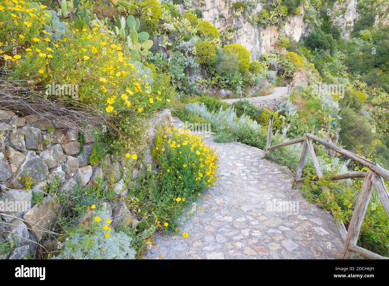 Taormina - Le chemin entre le printemps de fleurs méditerranéennes. Banque D'Images