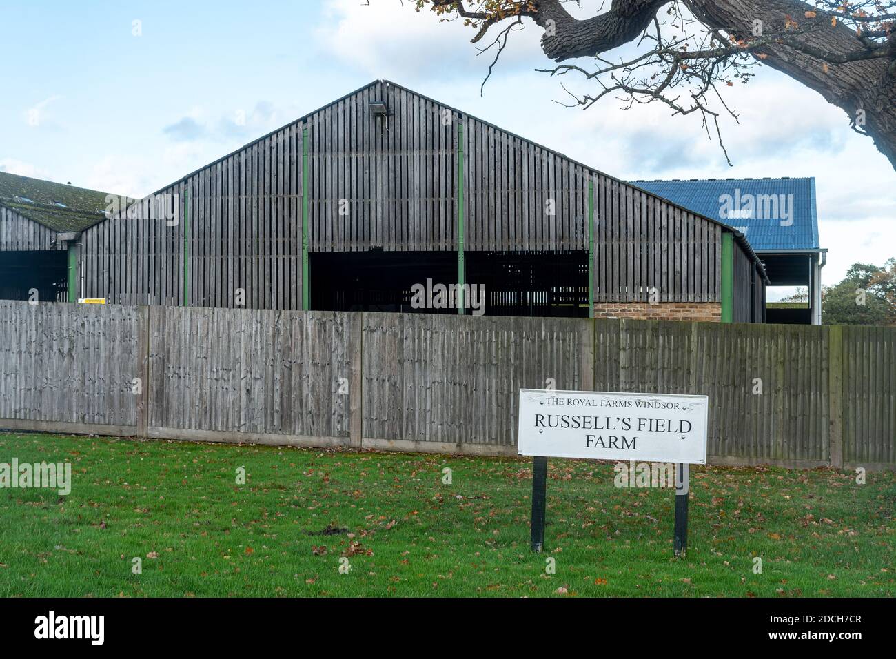 Russell's Field Farm, l'une des fermes royales sur le terrain de Crown Estate à Windsor Great Park, Berkshire, Royaume-Uni Banque D'Images