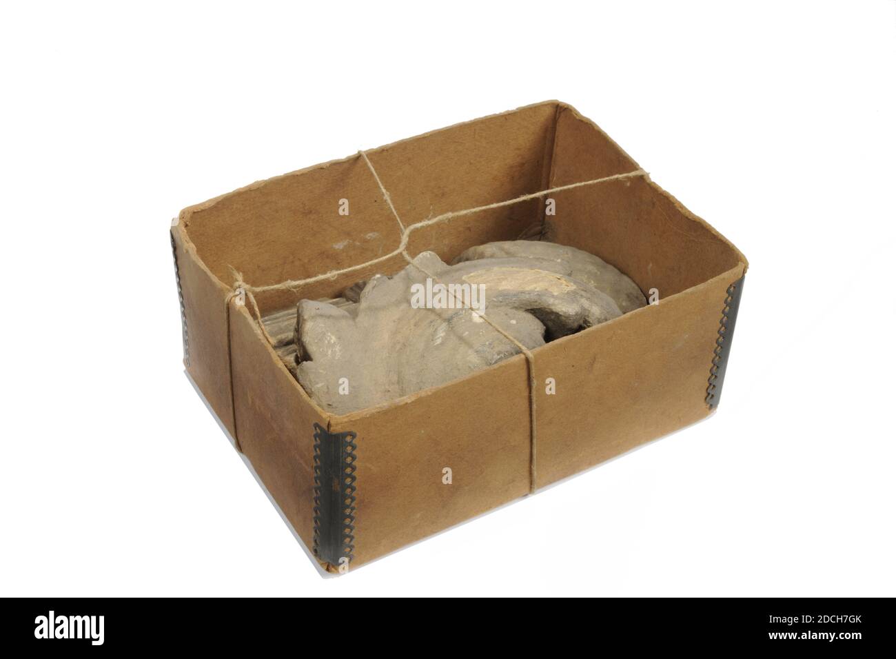 Sculpture, Anonyme, deuxième moitié du XVIIIe siècle, fragment: 4 x 10 x 9cm 40 x 100 x 90mm, écusson familial, décoration de façade en chêne sculpté avec les armoiries de Van Keppel. Voici quatre fragments de chêne avec une décoration sculptée. Un fragment a la forme d'une coquille, un fragment sous la forme d'une section de feuille d'acanthus et deux fragments correspondants sous la forme d'une brosse suspendue. Les fragments sont peints à l'avant avec de la peinture gris-blanc ou du plâtre, 1893 Banque D'Images